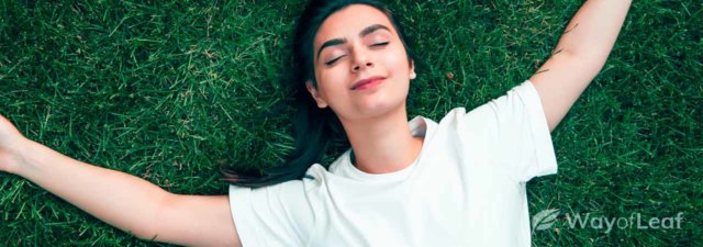 17 Things That You Must Do While Stoned