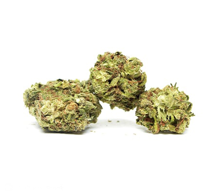 Game Changer Marijuana Strain Review