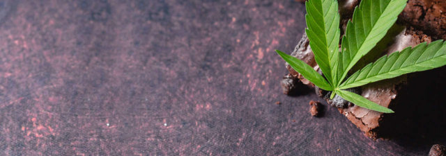 How to Make Weed Infused Chocolate