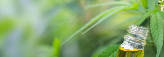 7 Ways to Recognize High-Grade CBD Oil