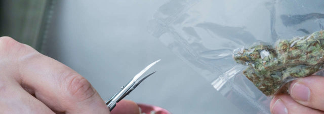 Is it Bad Practice to Vacuum Seal Weed? [EXPLAINED!]