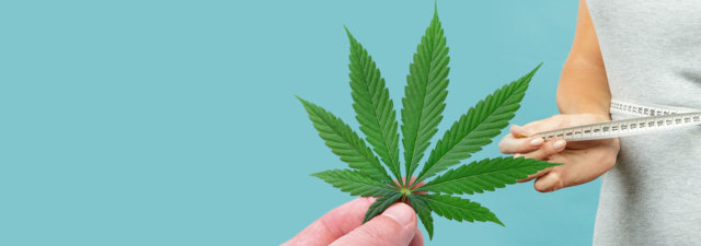 Will You Gain Weight if You Stop Smoking Pot?