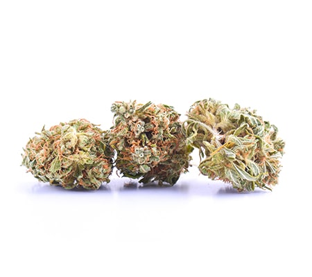 Blueberry Pie Strain: The Full Review