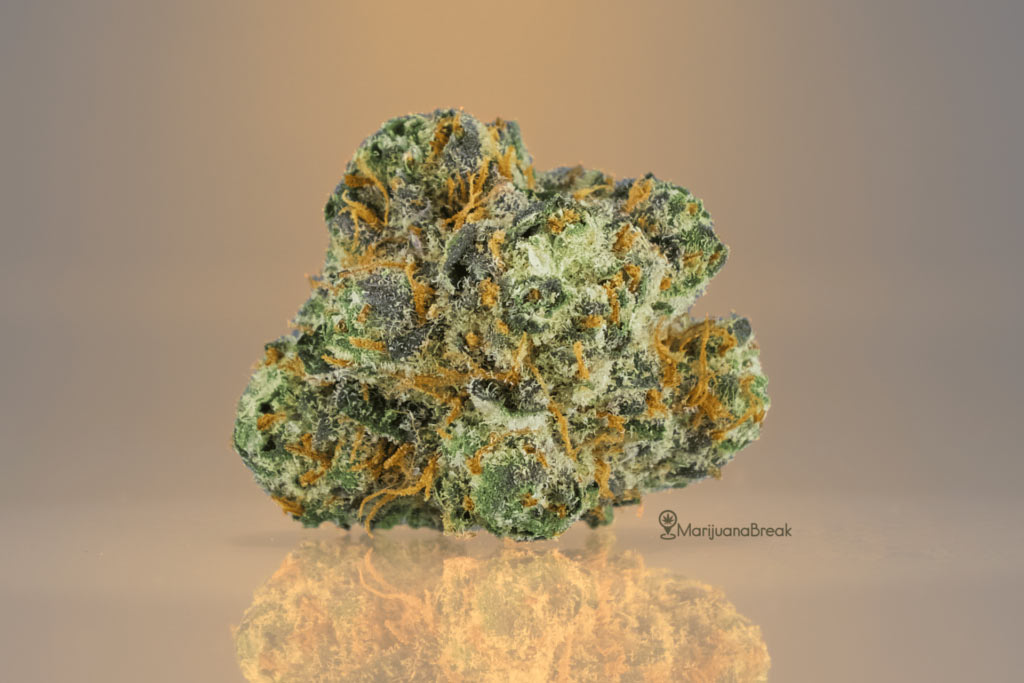 bubba kush cannabis strain