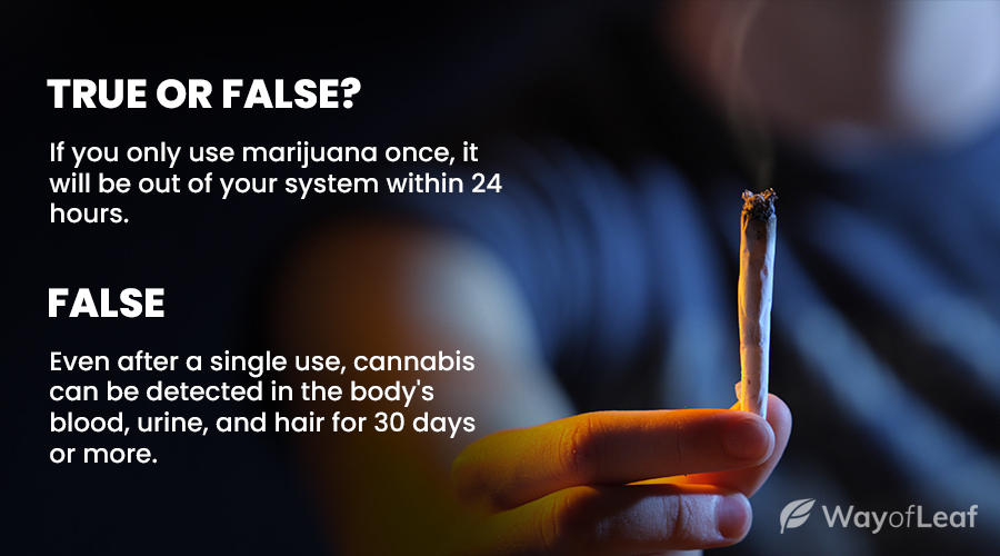 how-long-does-weed-stay-in-your-system-img3-1