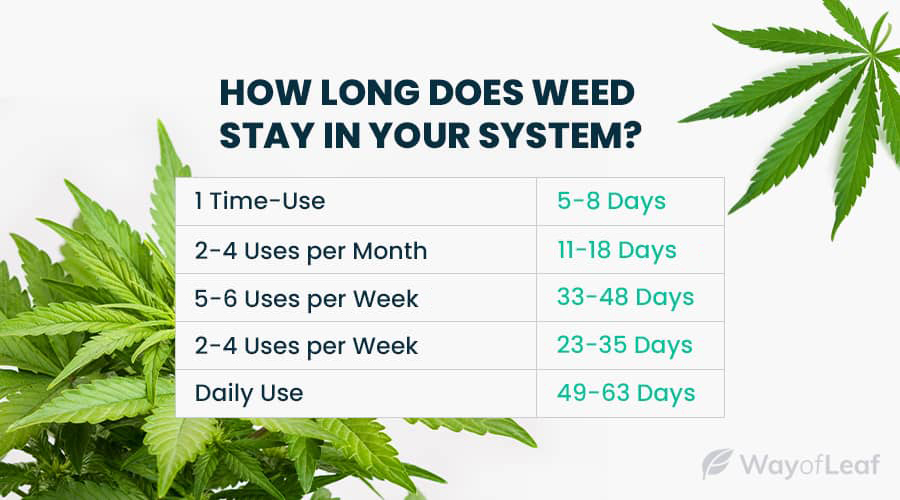 how-long-does-weed-stay-in-your-system-img7