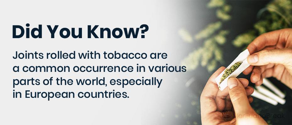 organic tobacco alternatives