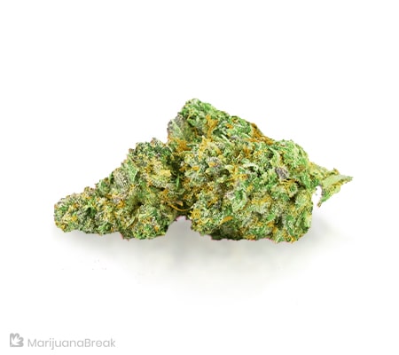 Blue Knight Marijuana Strain [Origins, Benefits, and Potency]