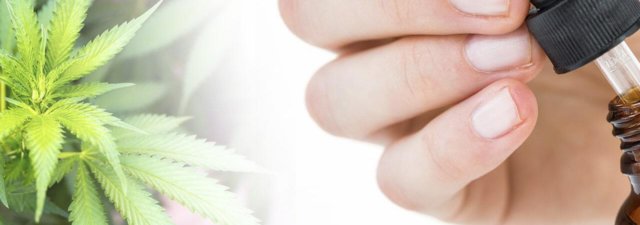 Watch Out for These 10 Traps When Going to Buy CBD Oil