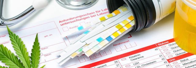 Failed a Drug Test After Taking CBD Oil? [Here’s Why…]