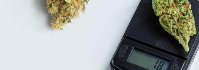 How Many Ounces in a Pound? [Know the Exact Answer]