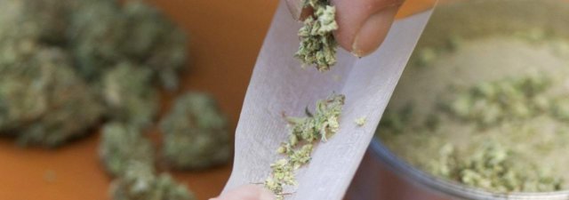What Is a Weed ‘Tarantula Joint’?