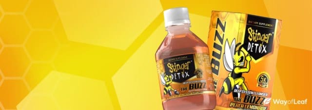 Stinger Detox – The Complete Review