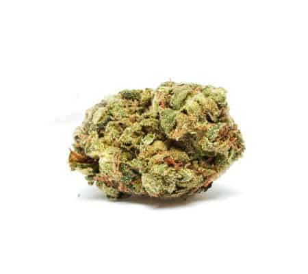 Tang Tang Cannabis Strain Review