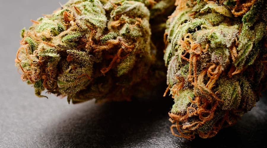 5-creative-ways-to-cough-less-when-smoking-weed-4