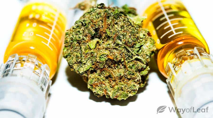 how-to-make-thc-oil-for-e-cigs