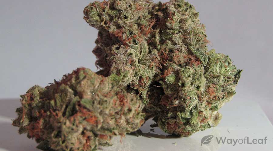 strawberry-banana-strain