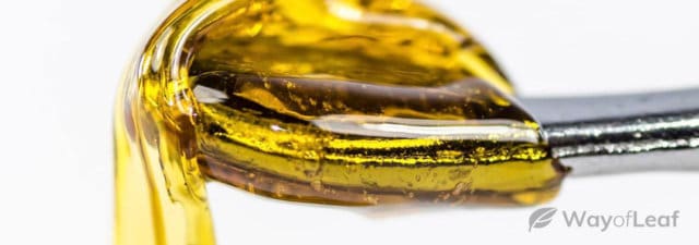What Is THC Terpene Sauce?