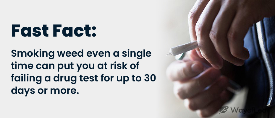 wol-how-long-does-marijuana-stay-in-your-system-1