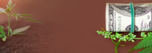 How to Start a Marijuana Business [And Actually MAKE Money]