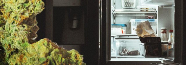 Which Marijuana Strains Don’t Produce the Munchies?