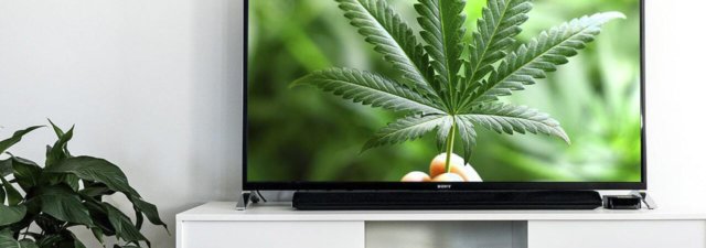 The 5 Best Cannabis-Related TV Shows Ever Made!