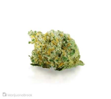 Ice Cream Strain | Cannabis Strain Review