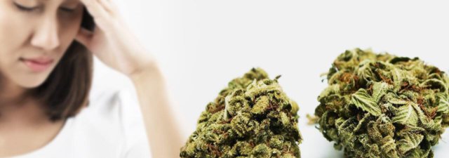Indica Side Effects: Things to Know!
