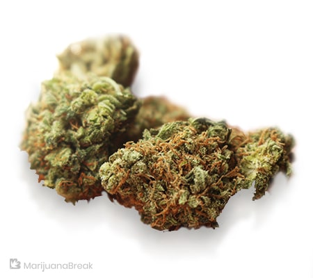 Mr. Nice Strain Review