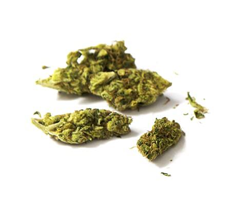 South American | Cannabis Strain Review