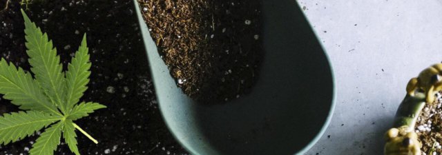 What Is NPK? [Fully Explained]