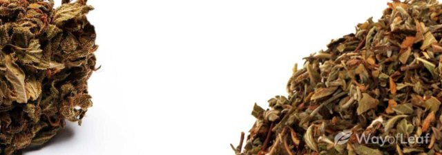 Can You Use Already Vaped Bud (AVB)?