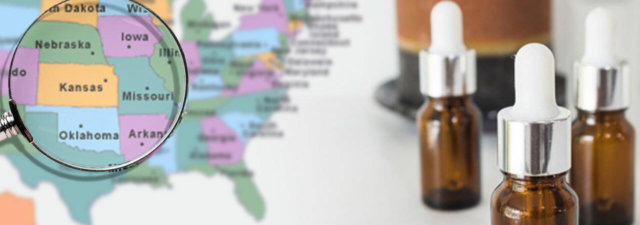 Where to Buy CBD Oil Near Me – Your Updated  Guide