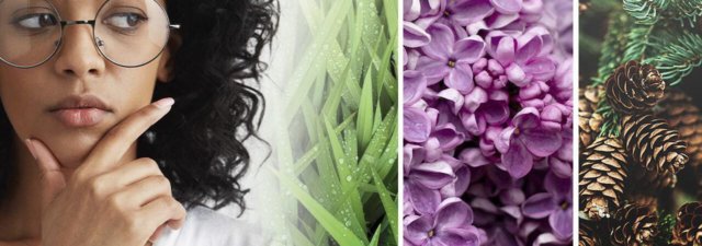 Do Terpenes Get You High? [Understand the Facts!]