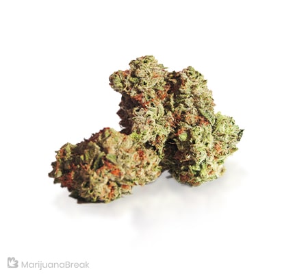 First 48 | Marijuana Strain Review