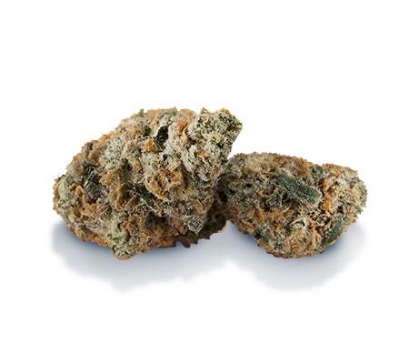 Frankenstein Cannabis Strain Review