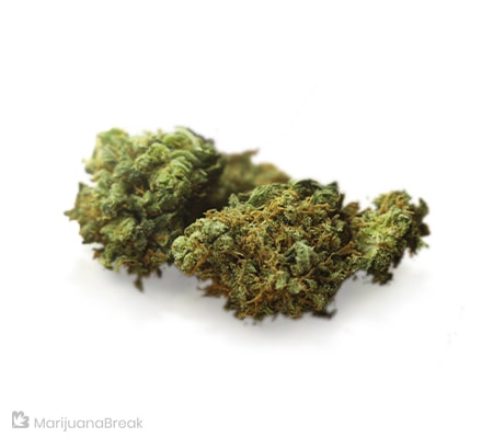 Haze | Cannabis Strain Review