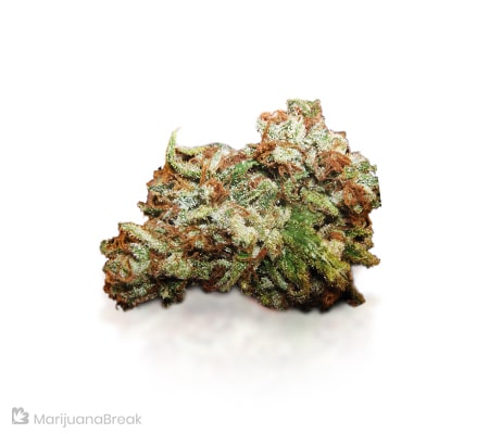 Rare Darkness Strain (Cannabis Strain Review)