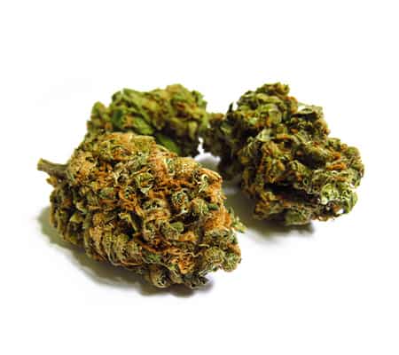 Lemon OG Strain | Cannabis Strain Review