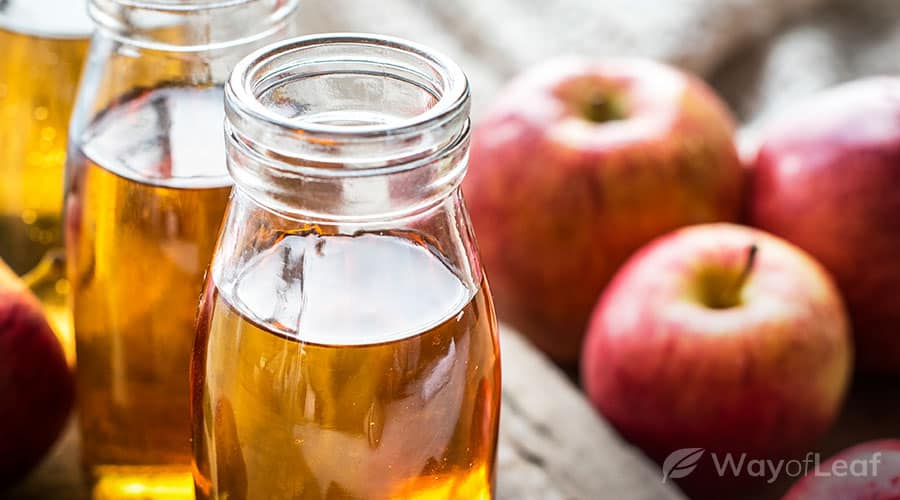 10-apple-cider-vinegar