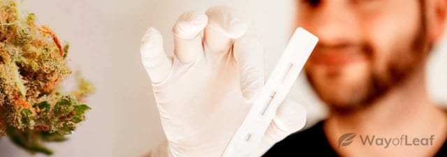 Are Home Drug Tests Accurate?