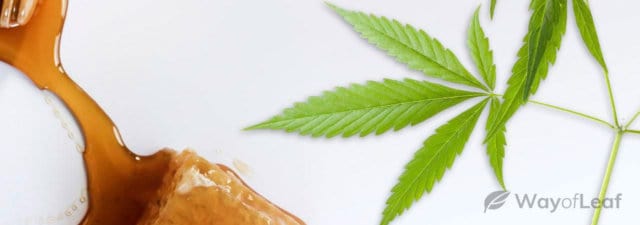 Cannabis Honey: Its Benefits and How to Make It