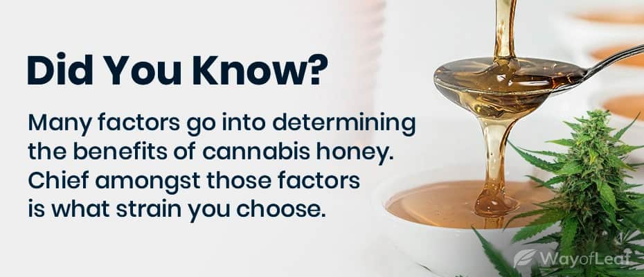 what-are-the-benefits-of-infusing-honey-with-cannabis