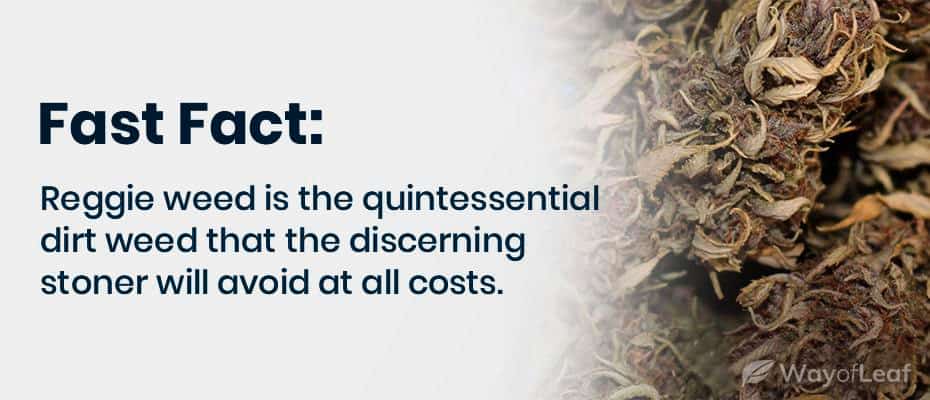 what-does-reggie-weed-smell-like