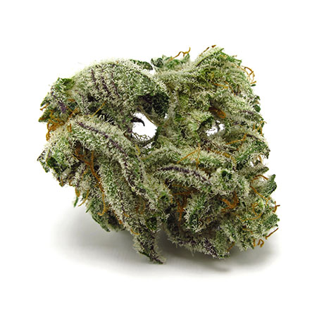 The Black Cannabis Strain [Complete Review]