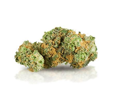 Pineapple 99 Strain (Origins, Potency, Effects)