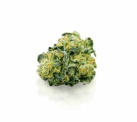 Godfather OG Cannabis Strain Review
