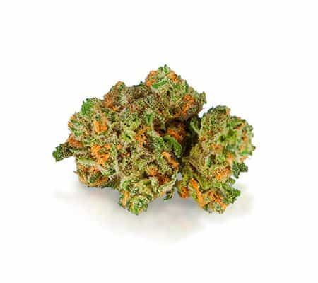 Gooberry Strain [Full Review]