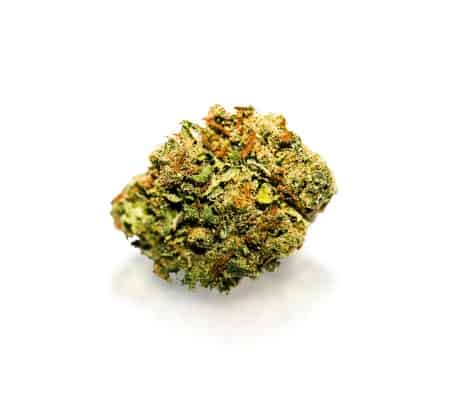 The Truth Strain | Cannabis Strain Review