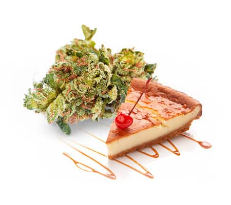 Black Cherry Cheesecake Strain